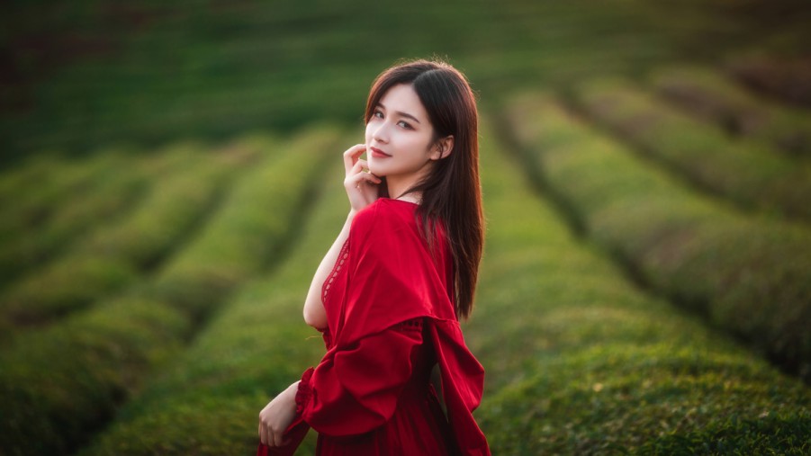 XCSEO白云seo优化排名价格提升网站自然流量的明智选择